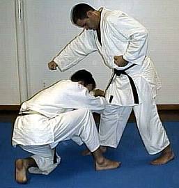 Sei Shin Kan Yagyu Ryu Jujutsu