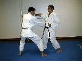 SSK JUJUTSU WAZA - Photo 3