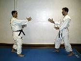 SSK JUJUTSU WAZA - Photo 14