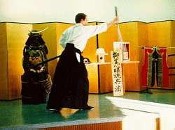 John Viol Dai Shihan Menkyokaiden