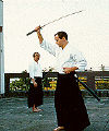 Viol Shihan learning Iai in Japan